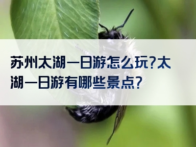苏州太湖一日游怎么玩？太湖一日游有哪些景点？