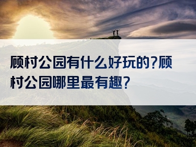 顾村公园有什么好玩的？顾村公园哪里最有趣？