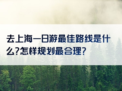 去上海一日游最佳路线是什么？怎样规划最合理？