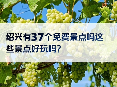 绍兴有37个免费景点吗这些景点好玩吗？