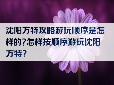 沈阳方特攻略游玩顺序是怎样的？怎样按顺序游玩沈阳方特？