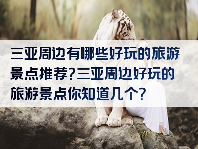 三亚周边有哪些好玩的旅游景点推荐？三亚周边好玩的旅游景点你知道几个？