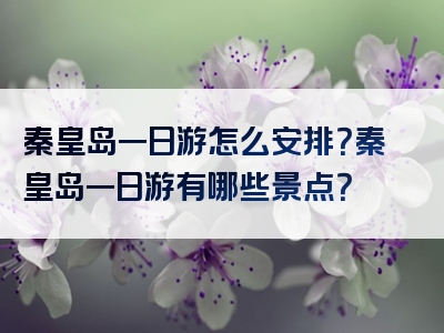 秦皇岛一日游怎么安排？秦皇岛一日游有哪些景点？