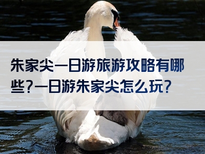 朱家尖一日游旅游攻略有哪些？一日游朱家尖怎么玩？