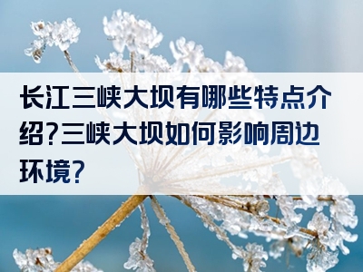 长江三峡大坝有哪些特点介绍？三峡大坝如何影响周边环境？