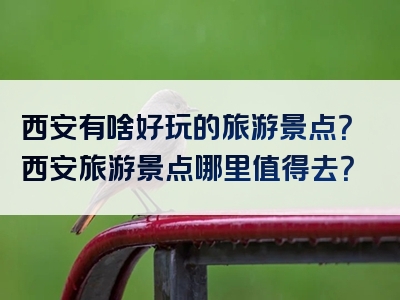 西安有啥好玩的旅游景点？西安旅游景点哪里值得去？