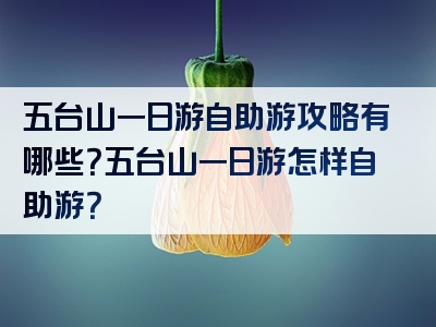 五台山一日游自助游攻略有哪些？五台山一日游怎样自助游？