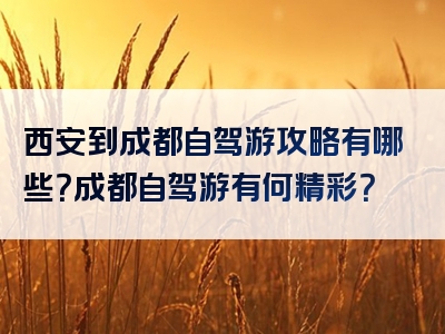 西安到成都自驾游攻略有哪些？成都自驾游有何精彩？