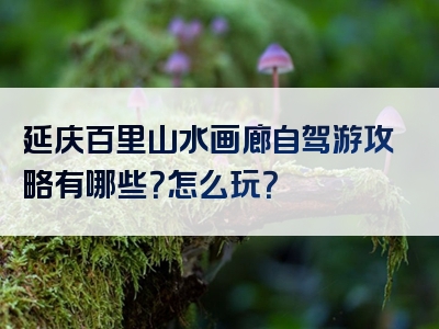 延庆百里山水画廊自驾游攻略有哪些？怎么玩？