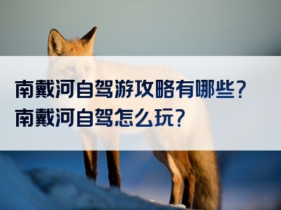 南戴河自驾游攻略有哪些？南戴河自驾怎么玩？