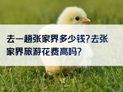 去一趟张家界多少钱？去张家界旅游花费高吗？