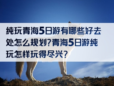 纯玩青海5日游有哪些好去处怎么规划？青海5日游纯玩怎样玩得尽兴？