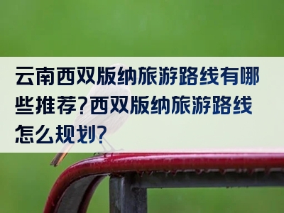 云南西双版纳旅游路线有哪些推荐？西双版纳旅游路线怎么规划？