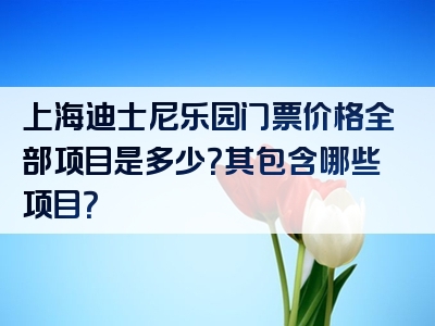 上海迪士尼乐园门票价格全部项目是多少？其包含哪些项目？
