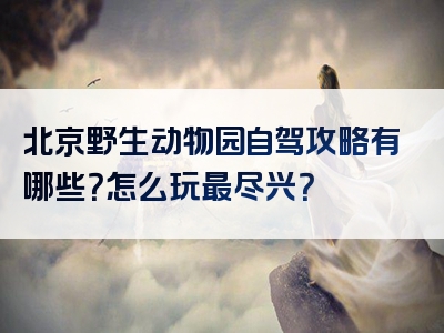 北京野生动物园自驾攻略有哪些？怎么玩最尽兴？