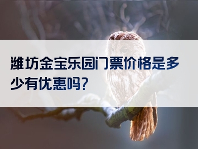 潍坊金宝乐园门票价格是多少有优惠吗？