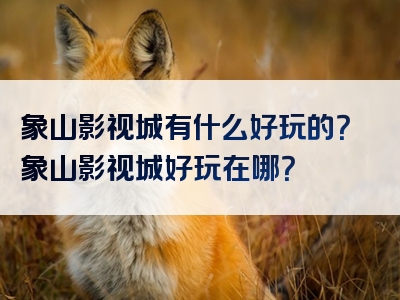 象山影视城有什么好玩的？象山影视城好玩在哪？