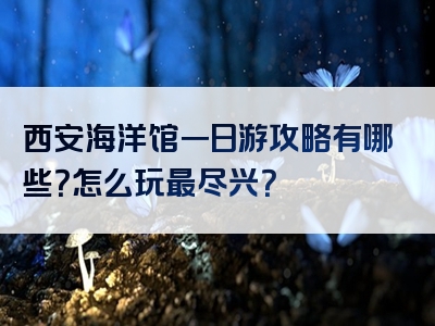 西安海洋馆一日游攻略有哪些？怎么玩最尽兴？