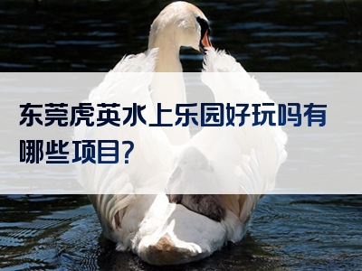 东莞虎英水上乐园好玩吗有哪些项目？