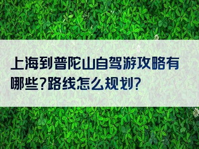 上海到普陀山自驾游攻略有哪些？路线怎么规划？