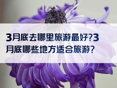 3月底去哪里旅游最好？3月底哪些地方适合旅游？