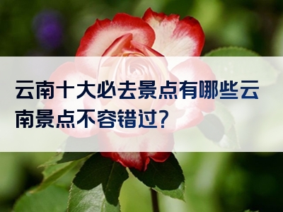 云南十大必去景点有哪些云南景点不容错过？