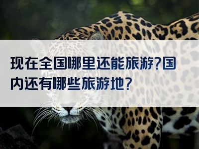 现在全国哪里还能旅游？国内还有哪些旅游地？