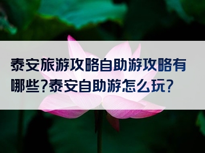 泰安旅游攻略自助游攻略有哪些？泰安自助游怎么玩？