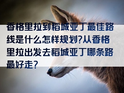 香格里拉到稻城亚丁最佳路线是什么怎样规划？从香格里拉出发去稻城亚丁哪条路最好走？