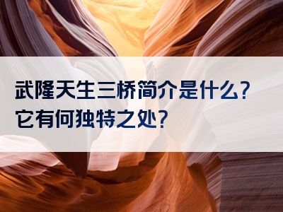 武隆天生三桥简介是什么？它有何独特之处？