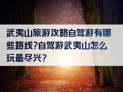 武夷山旅游攻略自驾游有哪些路线？自驾游武夷山怎么玩最尽兴？