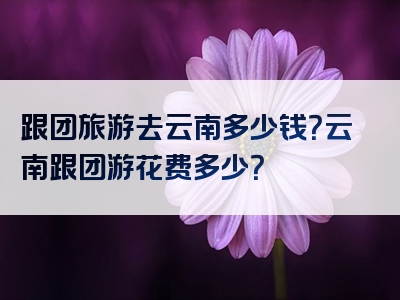 跟团旅游去云南多少钱？云南跟团游花费多少？