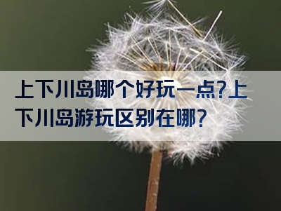 上下川岛哪个好玩一点？上下川岛游玩区别在哪？