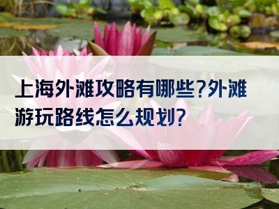 上海外滩攻略有哪些？外滩游玩路线怎么规划？