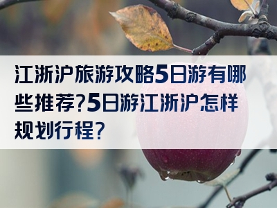 江浙沪旅游攻略5日游有哪些推荐？5日游江浙沪怎样规划行程？