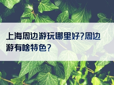 上海周边游玩哪里好？周边游有啥特色？