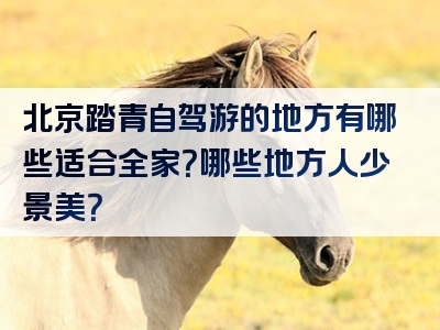 北京踏青自驾游的地方有哪些适合全家？哪些地方人少景美？