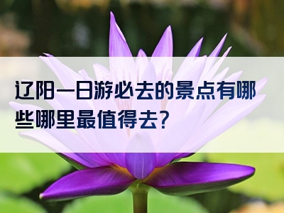 辽阳一日游必去的景点有哪些哪里最值得去？