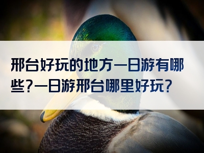 邢台好玩的地方一日游有哪些？一日游邢台哪里好玩？