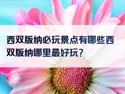 西双版纳必玩景点有哪些西双版纳哪里最好玩？