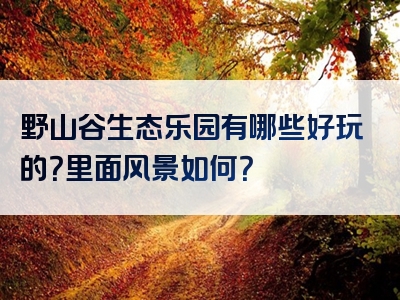 野山谷生态乐园有哪些好玩的？里面风景如何？