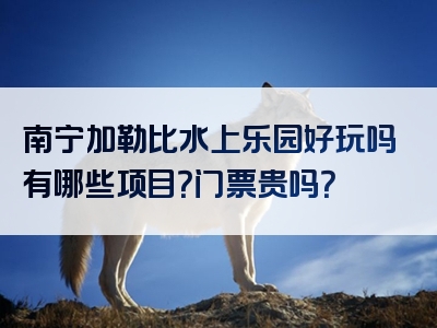 南宁加勒比水上乐园好玩吗有哪些项目？门票贵吗？