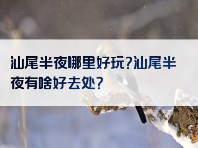 汕尾半夜哪里好玩？汕尾半夜有啥好去处？