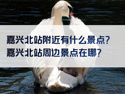 嘉兴北站附近有什么景点？嘉兴北站周边景点在哪？