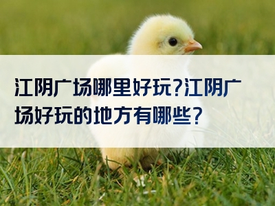 江阴广场哪里好玩？江阴广场好玩的地方有哪些？