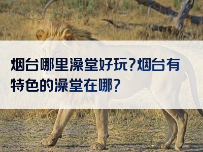 烟台哪里澡堂好玩？烟台有特色的澡堂在哪？