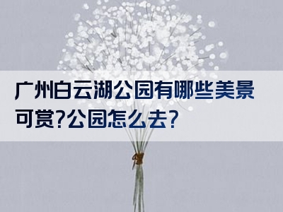 广州白云湖公园有哪些美景可赏？公园怎么去？