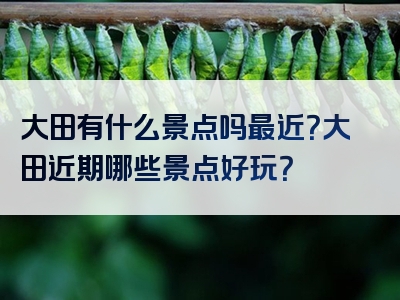 大田有什么景点吗最近？大田近期哪些景点好玩？