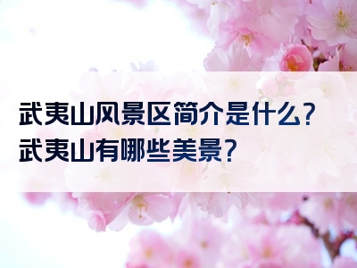 武夷山风景区简介是什么？武夷山有哪些美景？