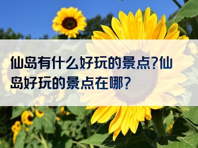 仙岛有什么好玩的景点？仙岛好玩的景点在哪？